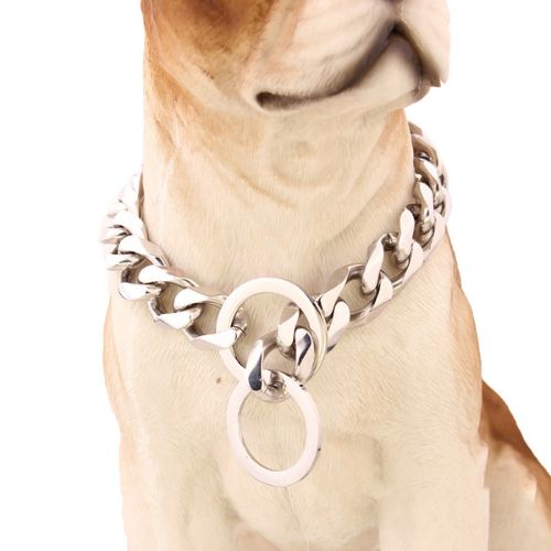 pet accessories